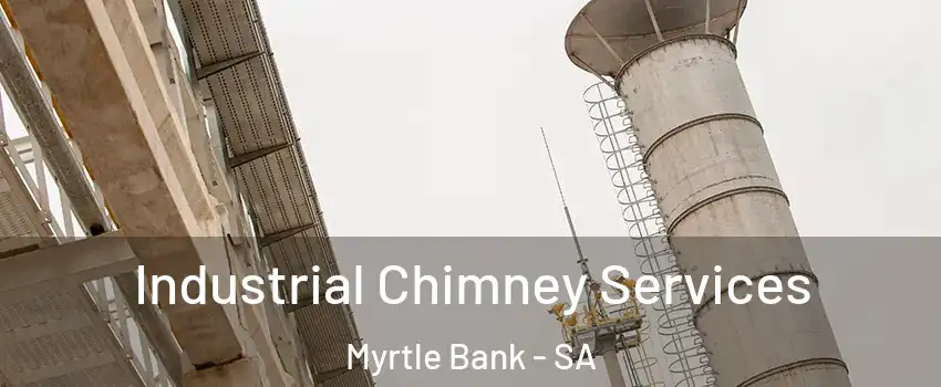  Industrial Chimney Services Myrtle Bank - SA