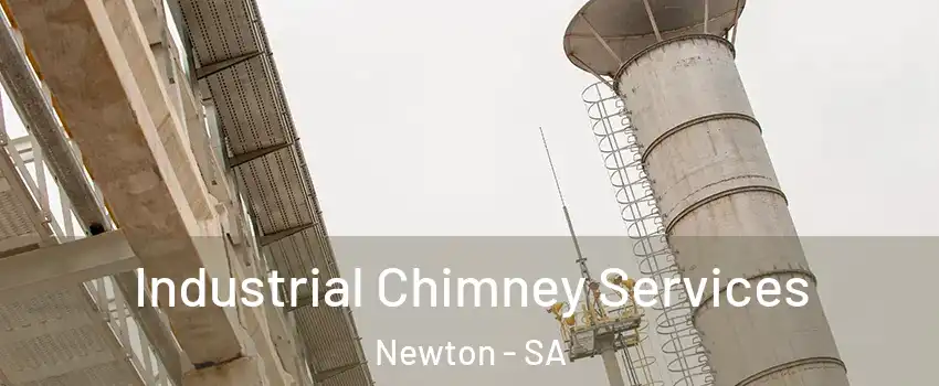 Industrial Chimney Services Newton - SA