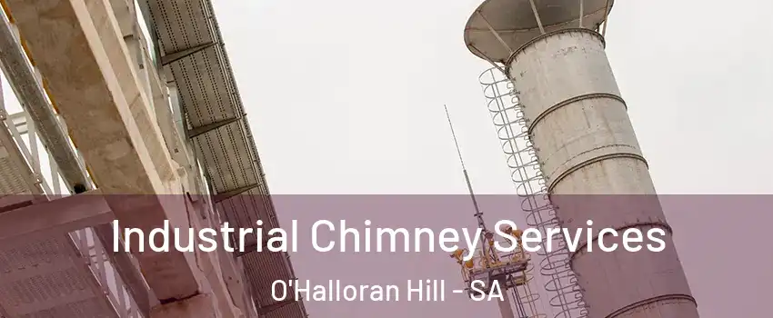  Industrial Chimney Services O'Halloran Hill - SA