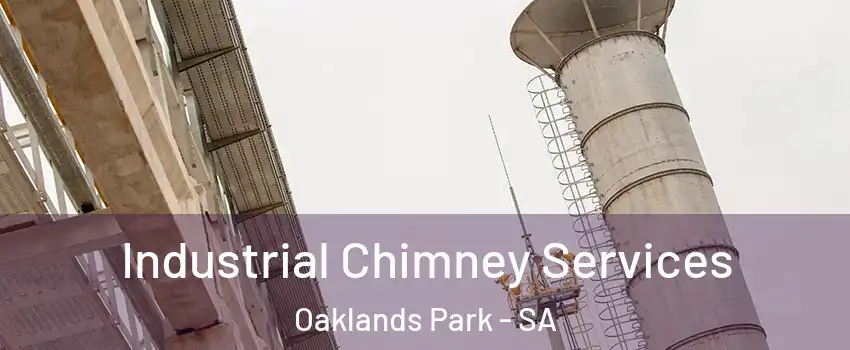  Industrial Chimney Services Oaklands Park - SA