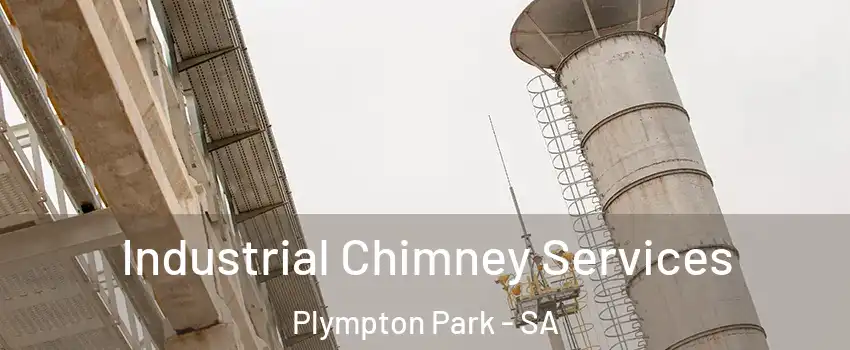 Industrial Chimney Services Plympton Park - SA