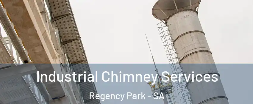  Industrial Chimney Services Regency Park - SA