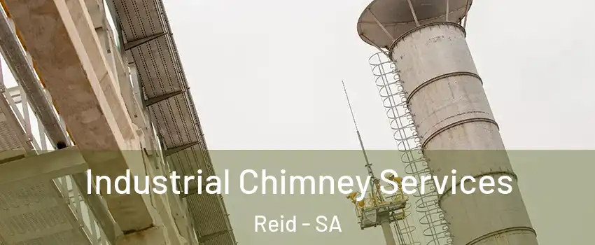  Industrial Chimney Services Reid - SA