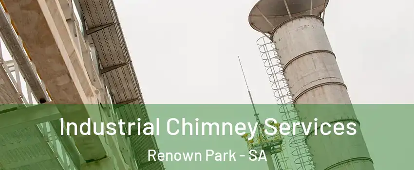  Industrial Chimney Services Renown Park - SA
