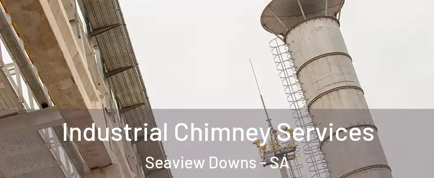  Industrial Chimney Services Seaview Downs - SA