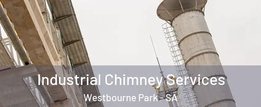  Industrial Chimney Services Westbourne Park - SA