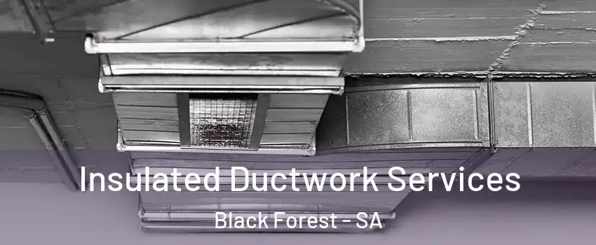 Insulated Ductwork Services Black Forest - SA