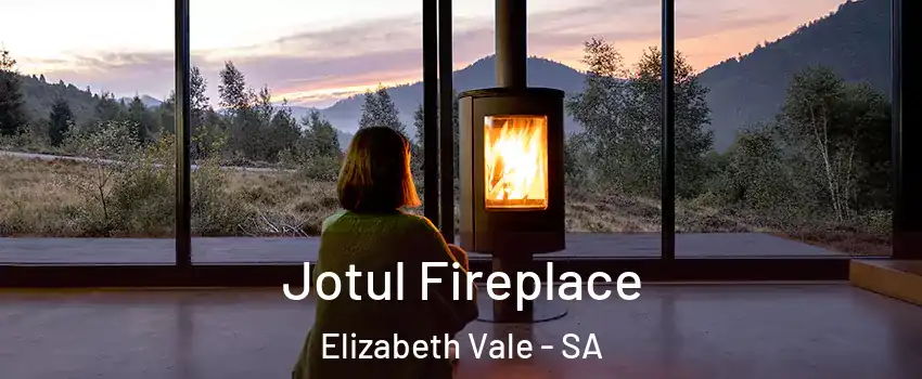 Jotul Fireplace Elizabeth Vale - SA