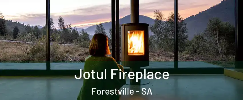 Jotul Fireplace Forestville - SA
