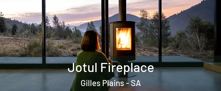 Jotul Fireplace Gilles Plains - SA