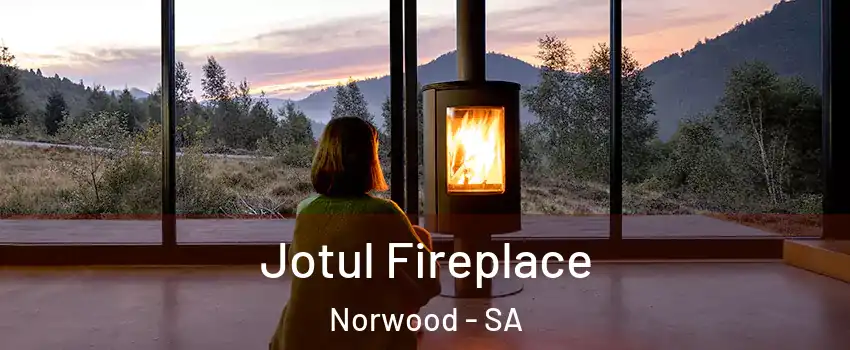  Jotul Fireplace Norwood - SA