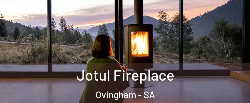  Jotul Fireplace Ovingham - SA