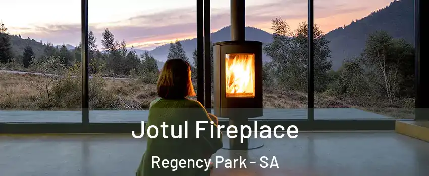  Jotul Fireplace Regency Park - SA