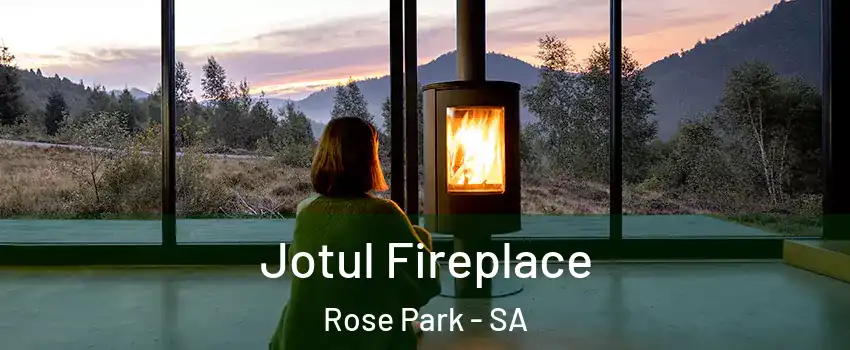  Jotul Fireplace Rose Park - SA