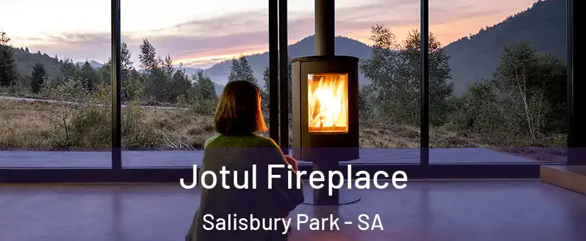  Jotul Fireplace Salisbury Park - SA