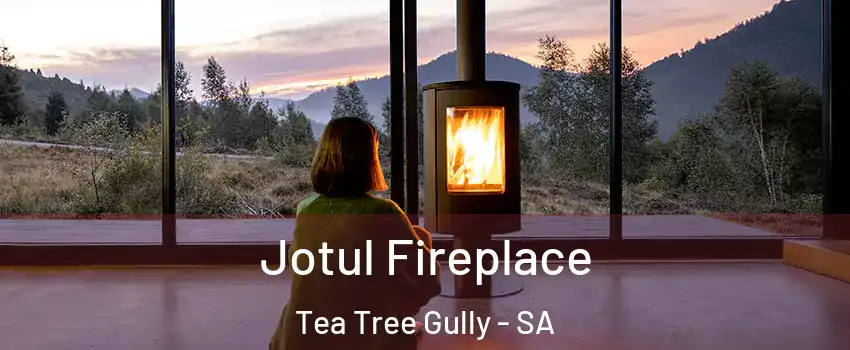 Jotul Fireplace Tea Tree Gully - SA