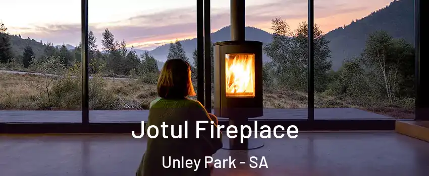  Jotul Fireplace Unley Park - SA