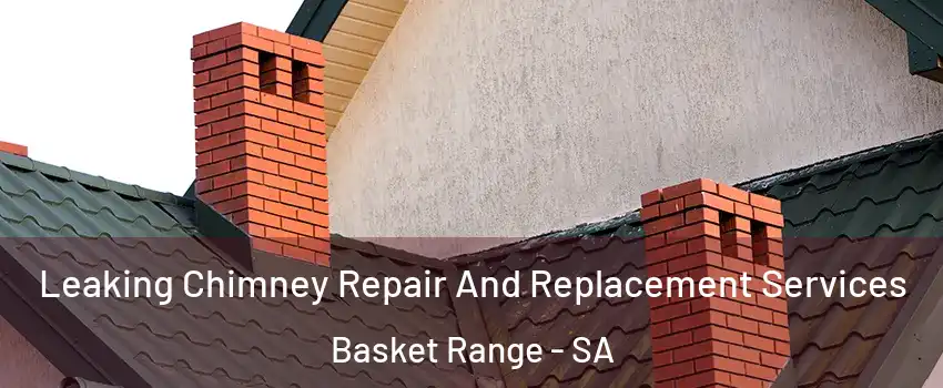 Leaking Chimney Repair And Replacement Services Basket Range - SA