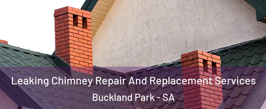 Leaking Chimney Repair And Replacement Services Buckland Park - SA