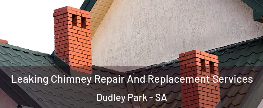  Leaking Chimney Repair And Replacement Services Dudley Park - SA