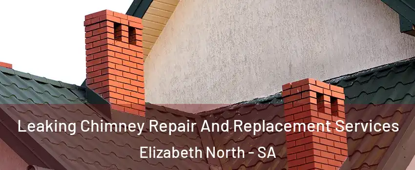Leaking Chimney Repair And Replacement Services Elizabeth North - SA