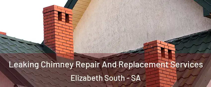 Leaking Chimney Repair And Replacement Services Elizabeth South - SA