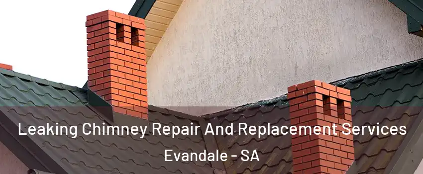  Leaking Chimney Repair And Replacement Services Evandale - SA