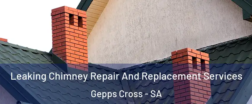 Leaking Chimney Repair And Replacement Services Gepps Cross - SA