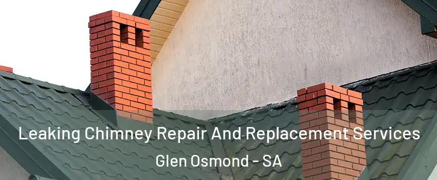Leaking Chimney Repair And Replacement Services Glen Osmond - SA