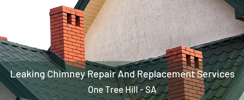  Leaking Chimney Repair And Replacement Services One Tree Hill - SA