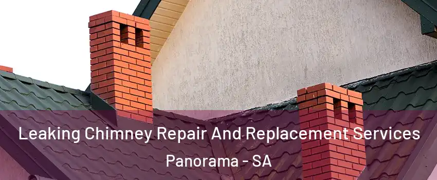 Leaking Chimney Repair And Replacement Services Panorama - SA