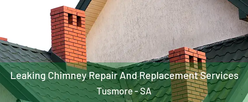  Leaking Chimney Repair And Replacement Services Tusmore - SA