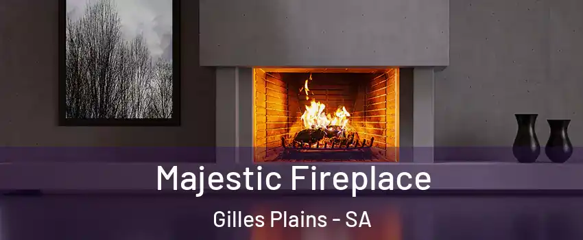 Majestic Fireplace Gilles Plains - SA