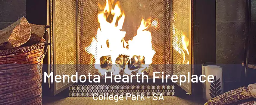 Mendota Hearth Fireplace College Park - SA
