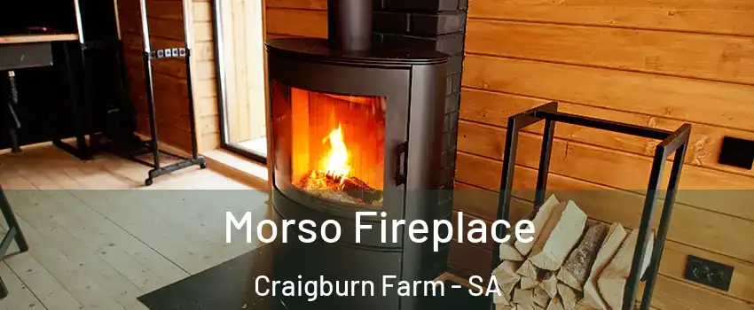 Morso Fireplace Craigburn Farm - SA