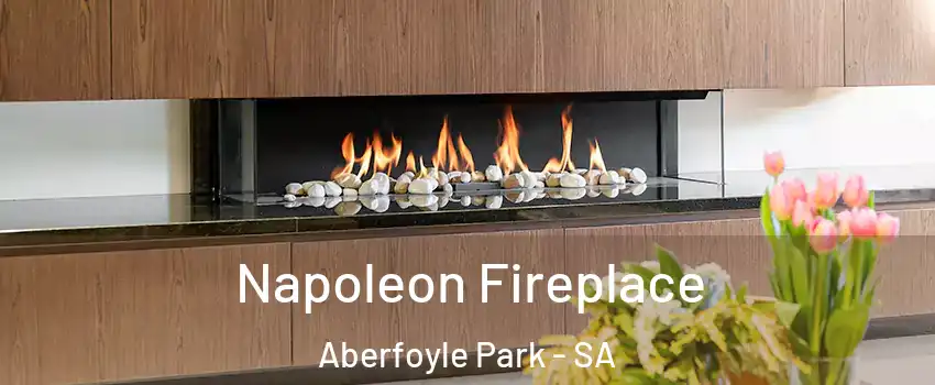 Napoleon Fireplace Aberfoyle Park - SA