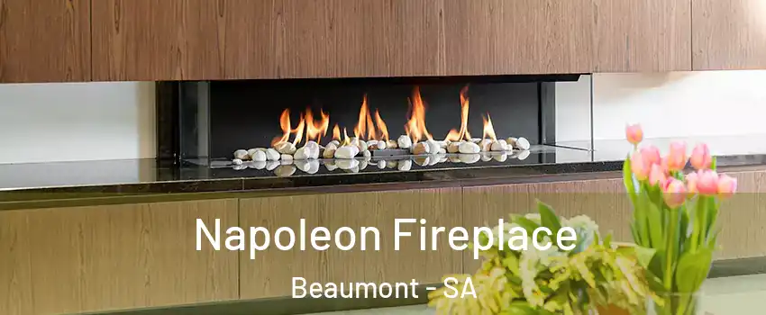 Napoleon Fireplace Beaumont - SA
