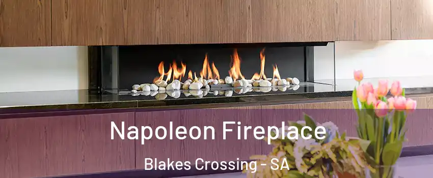 Napoleon Fireplace Blakes Crossing - SA
