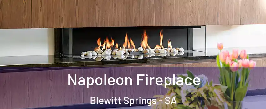 Napoleon Fireplace Blewitt Springs - SA