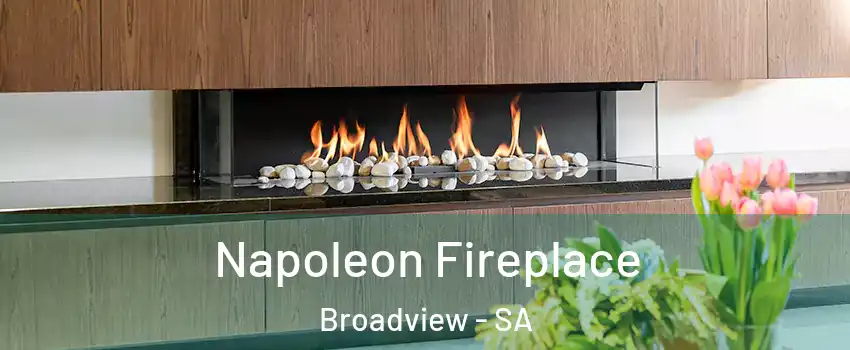 Napoleon Fireplace Broadview - SA
