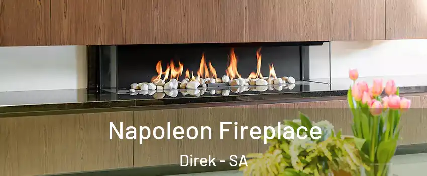Napoleon Fireplace Direk - SA