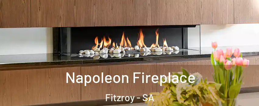 Napoleon Fireplace Fitzroy - SA