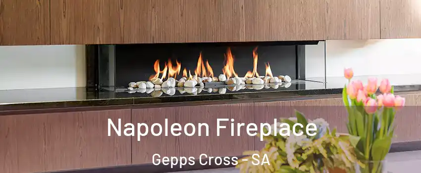 Napoleon Fireplace Gepps Cross - SA