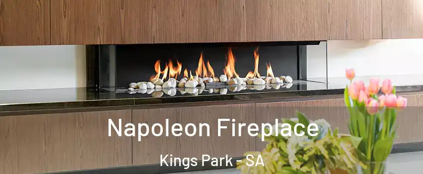  Napoleon Fireplace Kings Park - SA