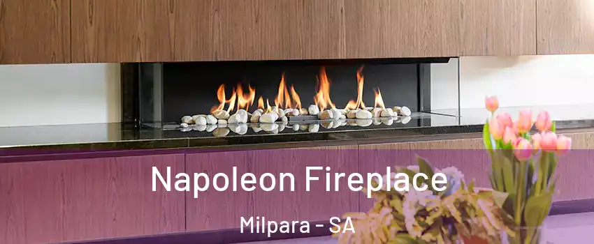  Napoleon Fireplace Milpara - SA