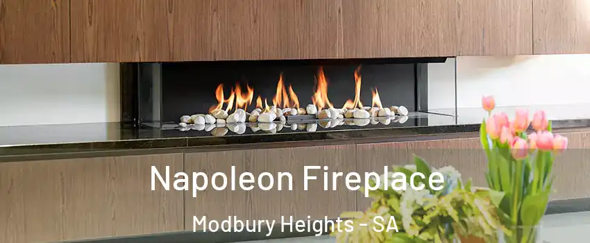  Napoleon Fireplace Modbury Heights - SA