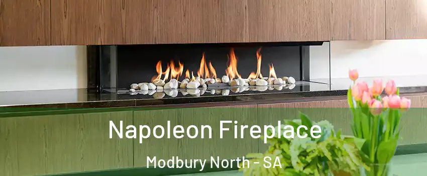  Napoleon Fireplace Modbury North - SA