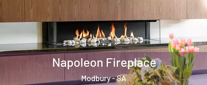 Napoleon Fireplace Modbury - SA