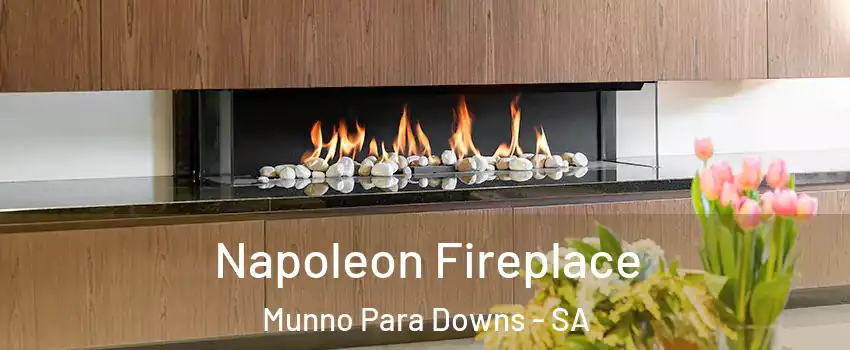  Napoleon Fireplace Munno Para Downs - SA
