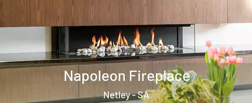  Napoleon Fireplace Netley - SA